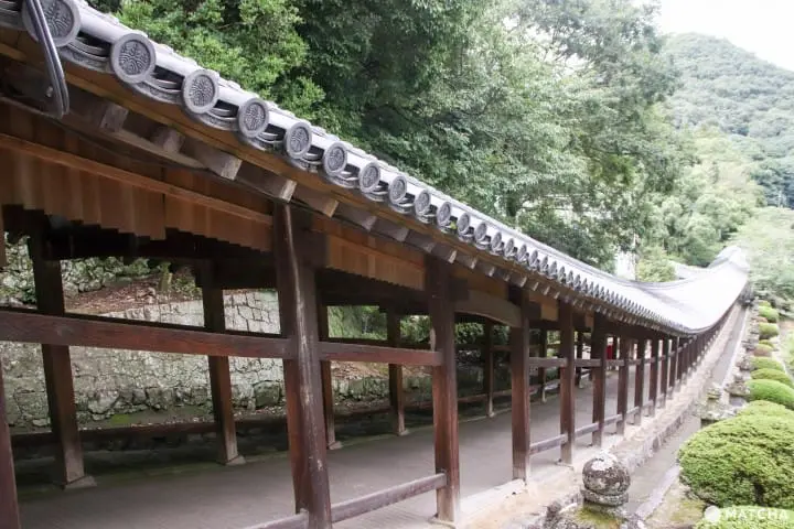 【岡山】 神秘的鳴神釜事祈福 吉備津神社