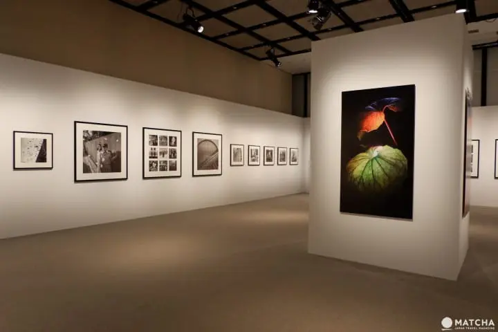 免費玩銀座!逛遍世界級精品畫廊