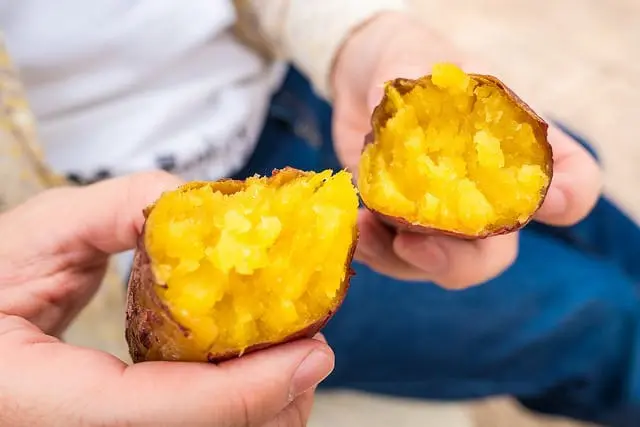 Top Seasonal Foods to Savour this Autumn 