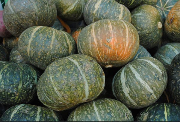 Top Seasonal Foods to Savour this Autumn 