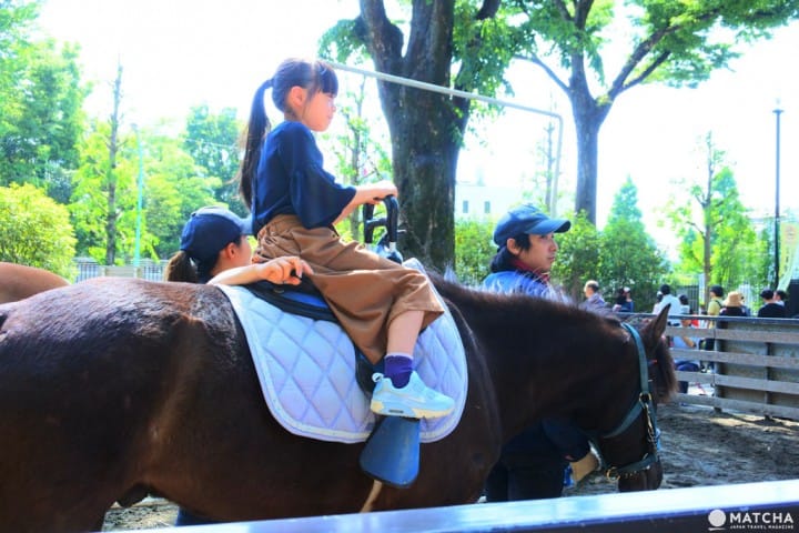 代代木 騎馬
