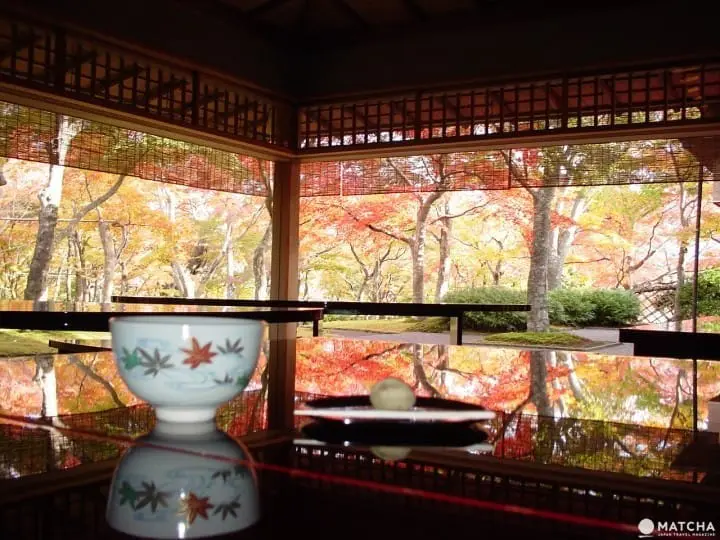 Yuk, Menikmati Perjalanan Musim Gugur di Hakone dalam 1 Hari!