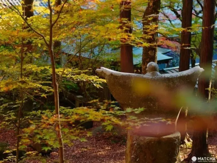 Yuk, Menikmati Perjalanan Musim Gugur di Hakone dalam 1 Hari!