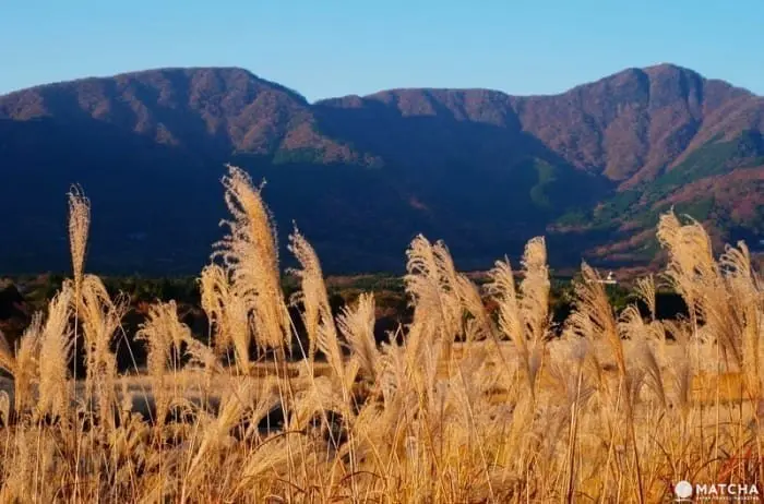 Yuk, Menikmati Perjalanan Musim Gugur di Hakone dalam 1 Hari!