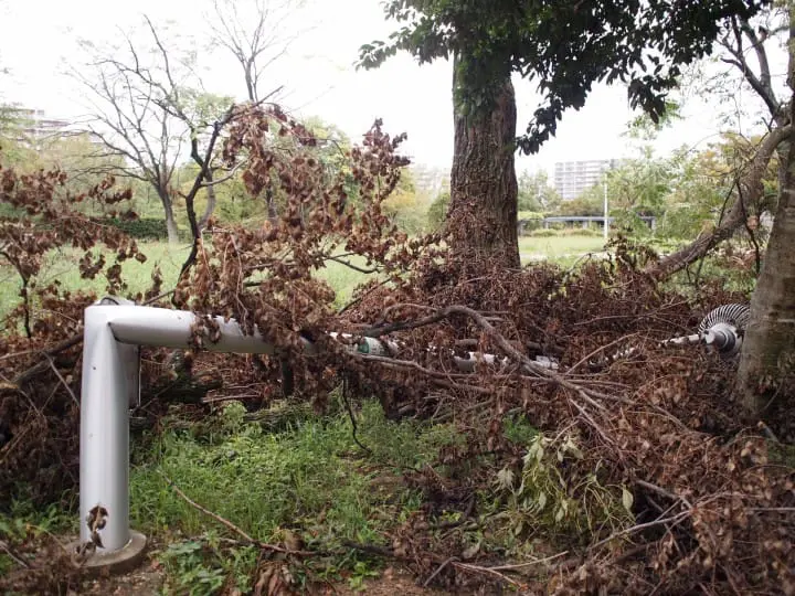 ข้อควรรู้เกี่ยวกับไต้ฝุ่น! ญี่ปุ่นในช่วงมรสุมปลายฤดูร้อนต้นฤดูใบไม้ร่วง