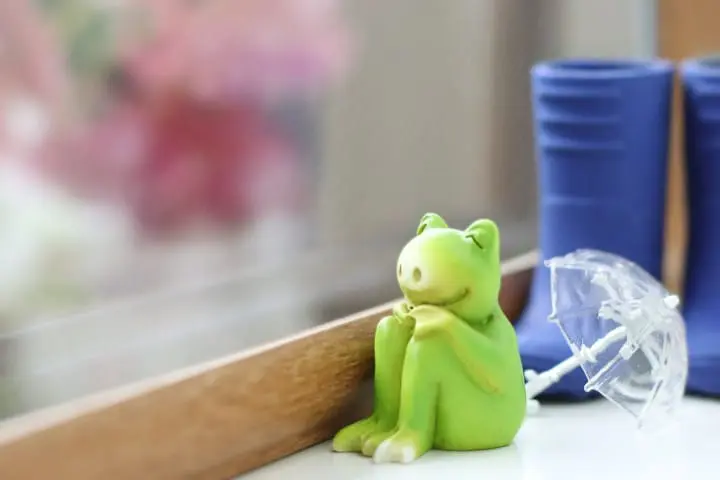 ข้อควรรู้เกี่ยวกับไต้ฝุ่น! ญี่ปุ่นในช่วงมรสุมปลายฤดูร้อนต้นฤดูใบไม้ร่วง