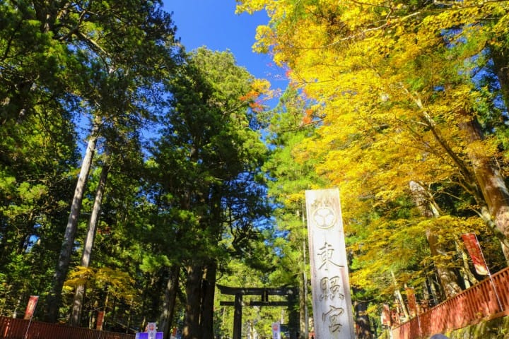 日光 東照宮