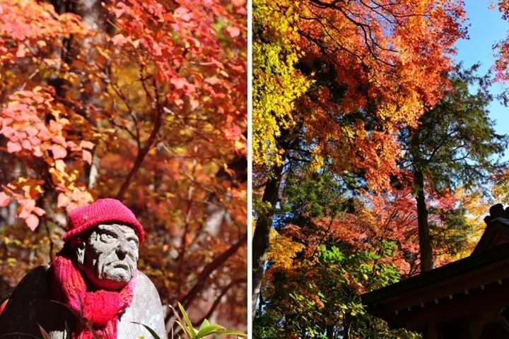 箱根长安寺枫叶