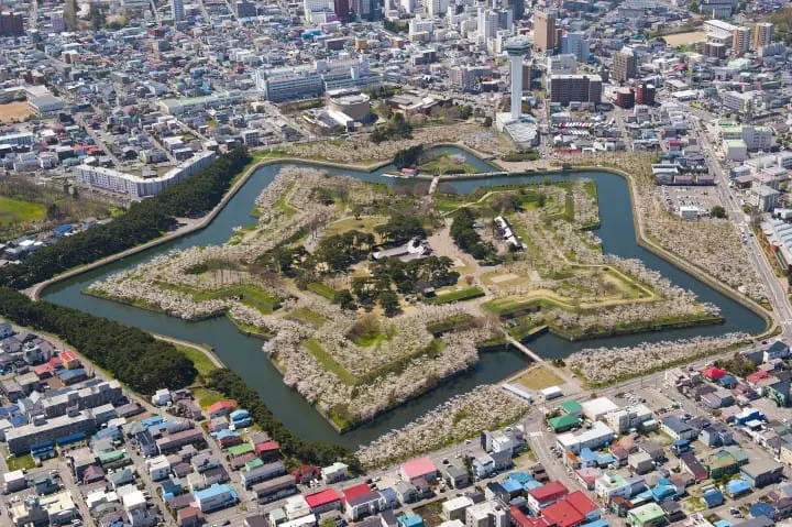 函館 五稜郭櫻花