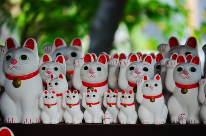The Kagurazaka Bakeneko Festival - Become A Cat And Join The Parade
