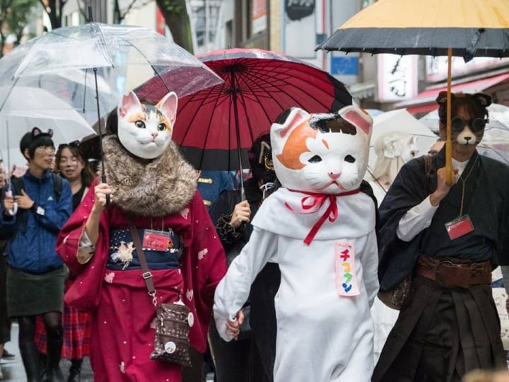 The Kagurazaka Bakeneko Festival - Become A Cat And Join The Parade