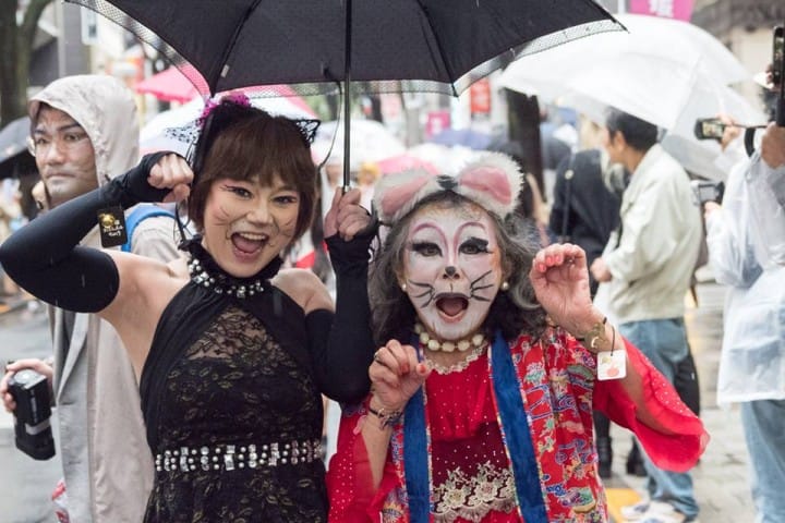 The Kagurazaka Bakeneko Festival - Become A Cat And Join The Parade
