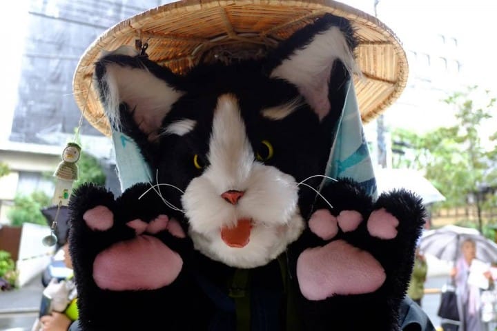The Kagurazaka Bakeneko Festival - Become A Cat And Join The Parade
