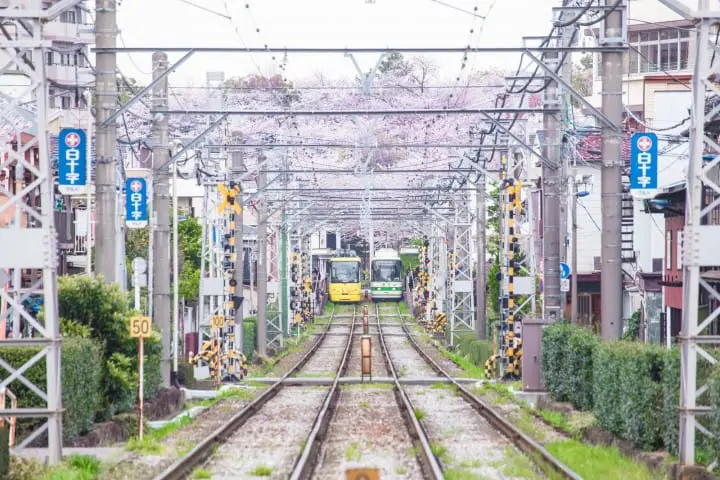 荒川線路面電車