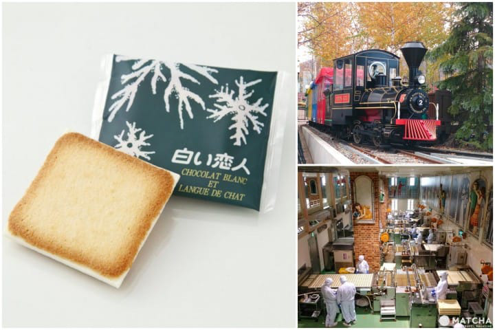 10 แหล่งท่องเที่ยวแนะนำในซัปโปโร