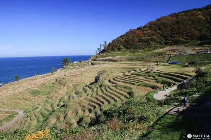 【石川】能登半岛一天巴士旅行