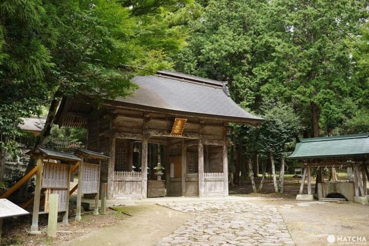 Travel by Bus for 3 Days in Tottori for Only 1800! Discover the Hidden Charms of Totori City