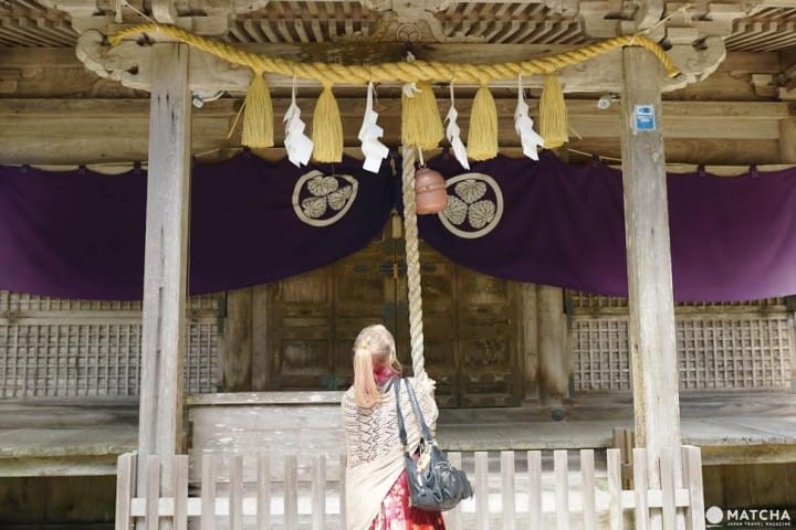 Travel by Bus for 3 Days in Tottori for Only 1800! Discover the Hidden Charms of Totori City