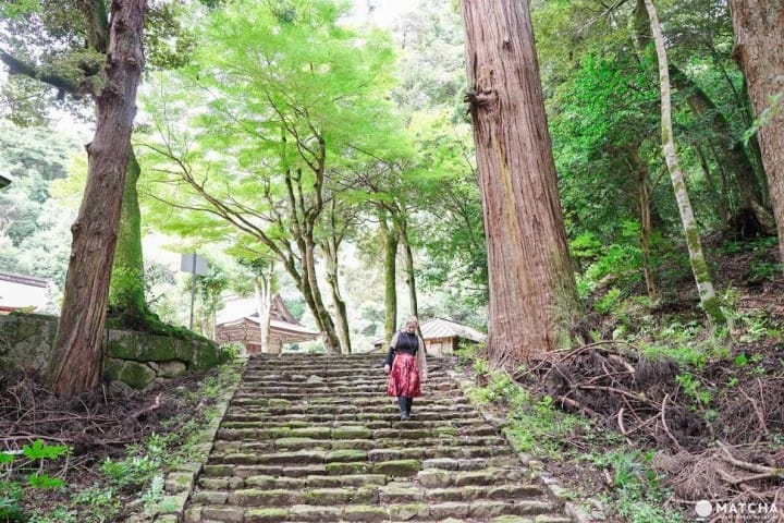Travel by Bus for 3 Days in Tottori for Only 1800! Discover the Hidden Charms of Totori City