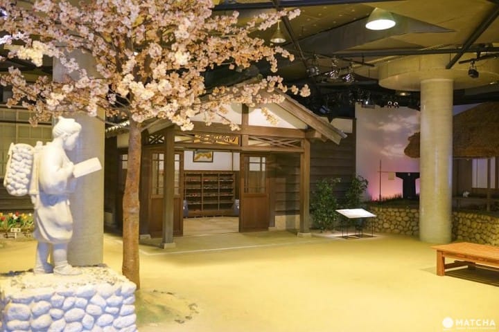 Travel by Bus for 3 Days in Tottori for Only 1800! Discover the Hidden Charms of Totori City