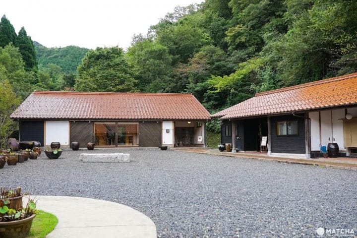 Travel by Bus for 3 Days in Tottori for Only 1800! Discover the Hidden Charms of Totori City