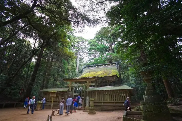 เที่ยวหนึ่งวันใกล้โตเกียวที่ คาชิมะจิงกู ศาลเจ้าเก่าแก่ที่สุดในคันโต และงานเทศกาลใหญ่แห่งซาวาระ