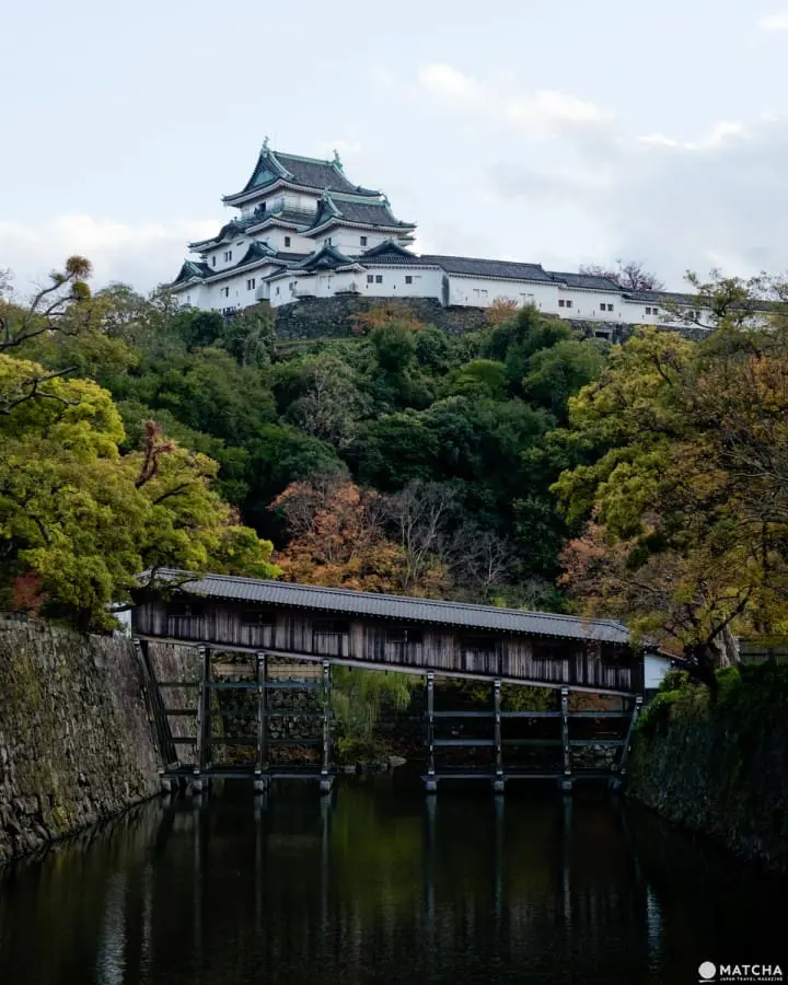 六个和歌山城散步好去处