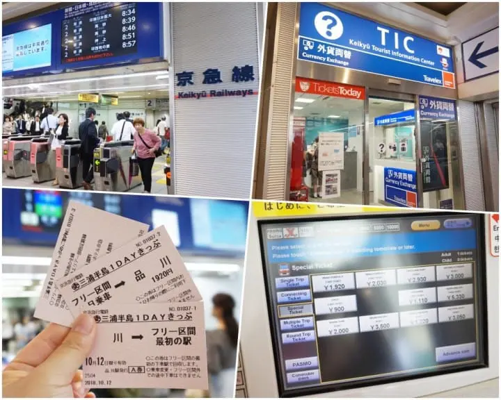 โยโกสุกะมีอะไรดี!? ชมทุ่งคอสมอส เรือรบอลังการ และเครื่องรางไม่เหมือนใคร (Yokosuka)