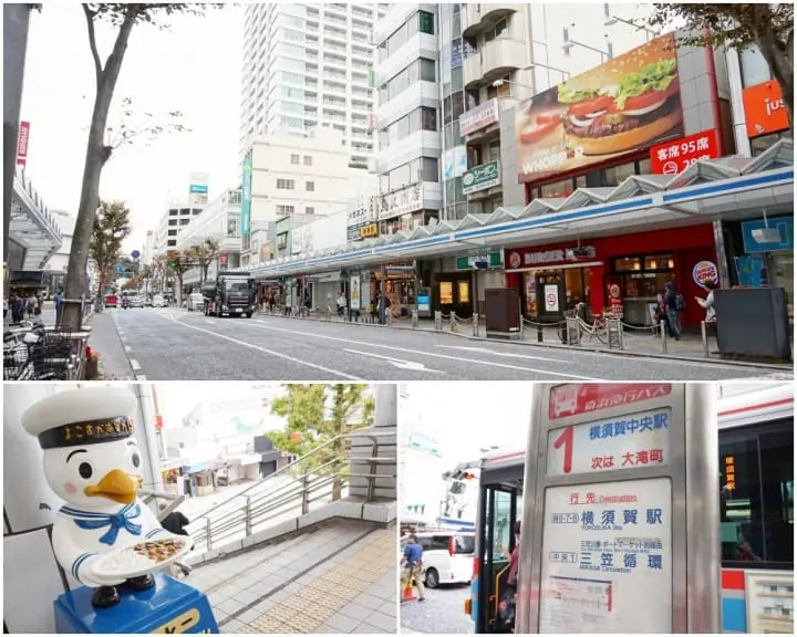 โยโกสุกะมีอะไรดี!? ชมทุ่งคอสมอส เรือรบอลังการ และเครื่องรางไม่เหมือนใคร (Yokosuka)