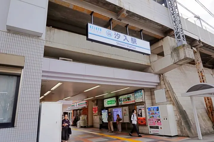 โยโกสุกะมีอะไรดี!? ชมทุ่งคอสมอส เรือรบอลังการ และเครื่องรางไม่เหมือนใคร (Yokosuka)