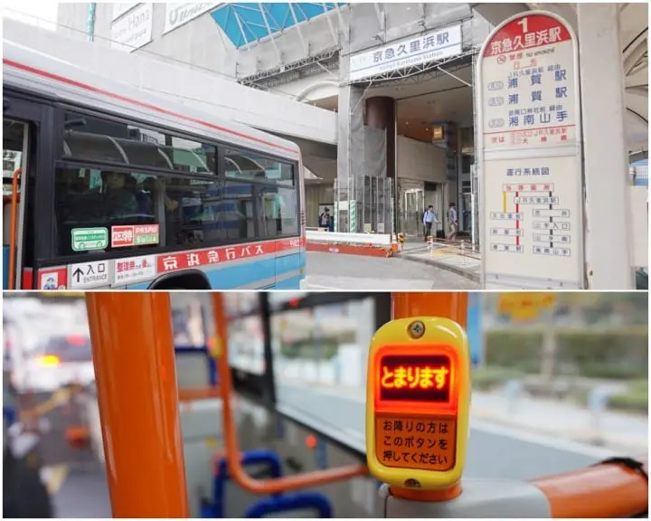 โยโกสุกะมีอะไรดี!? ชมทุ่งคอสมอส เรือรบอลังการ และเครื่องรางไม่เหมือนใคร (Yokosuka)