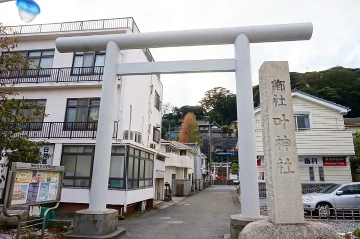 โยโกสุกะมีอะไรดี!? ชมทุ่งคอสมอส เรือรบอลังการ และเครื่องรางไม่เหมือนใคร (Yokosuka)