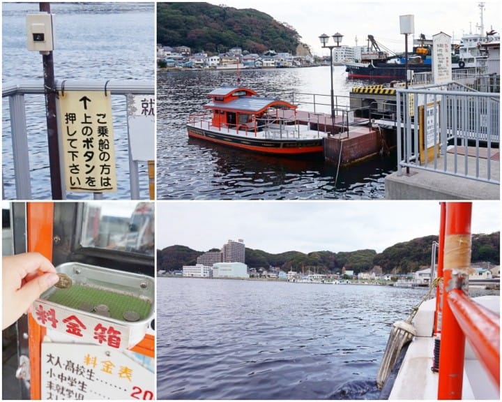 โยโกสุกะมีอะไรดี!? ชมทุ่งคอสมอส เรือรบอลังการ และเครื่องรางไม่เหมือนใคร (Yokosuka)