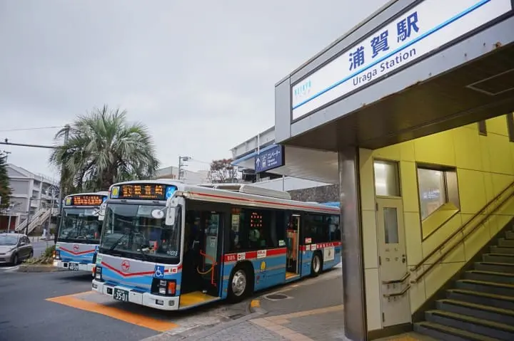 โยโกสุกะมีอะไรดี!? ชมทุ่งคอสมอส เรือรบอลังการ และเครื่องรางไม่เหมือนใคร (Yokosuka)