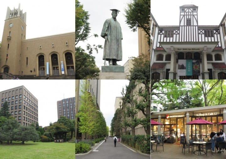 跟滿員電車說再見!用都營巴士一日券遊玩山手線上景點