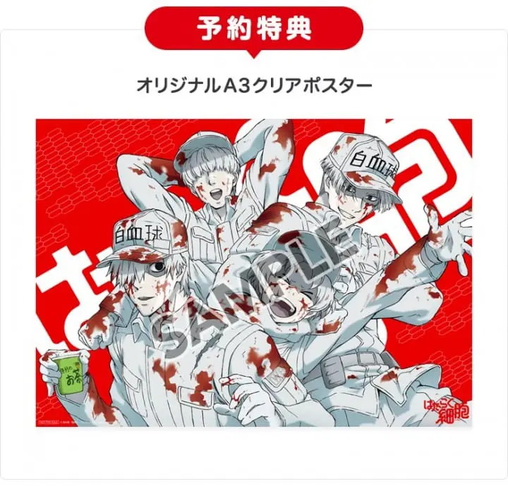 工作细胞咖啡透明夹