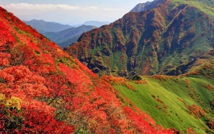 初探群馬縣境 稜線遠足徑