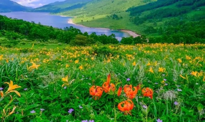 初探群馬縣境 稜線遠足徑