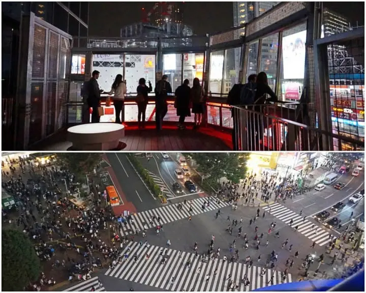 ตะลุยช้อปปิ้งในโตเกียวแบบโดนใจสาวๆ ครบวงจรในหนึ่งวันด้วยรถบัส!