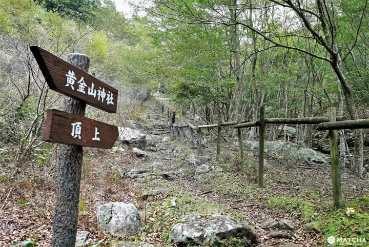 金華山登山
