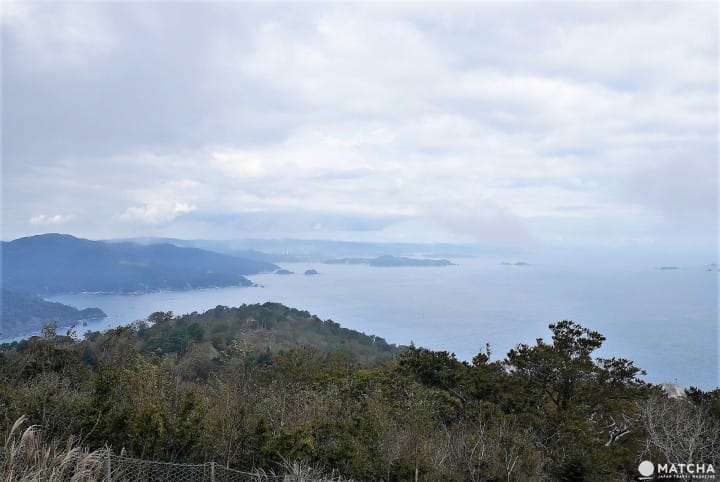 頂上