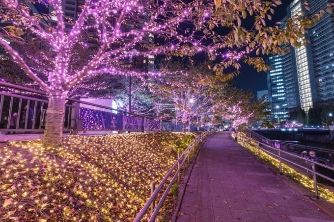 目黑川冬季燈飾2018