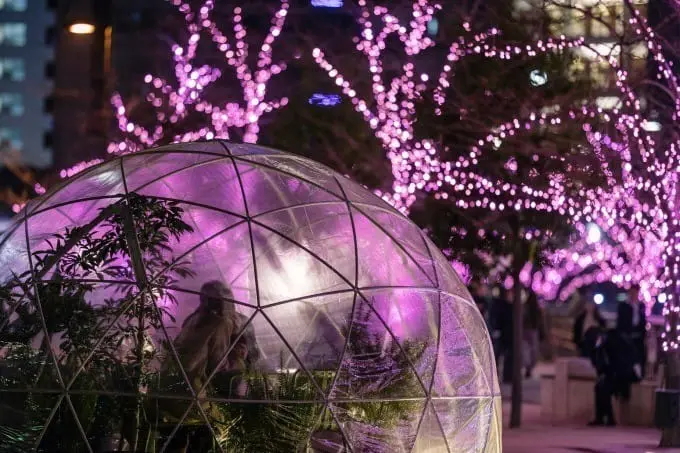 目黑川冬季灯饰2018 透明半圆形帐篷