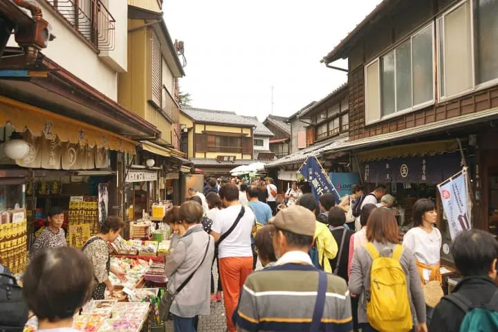 Kawagoe Sweet Potato 