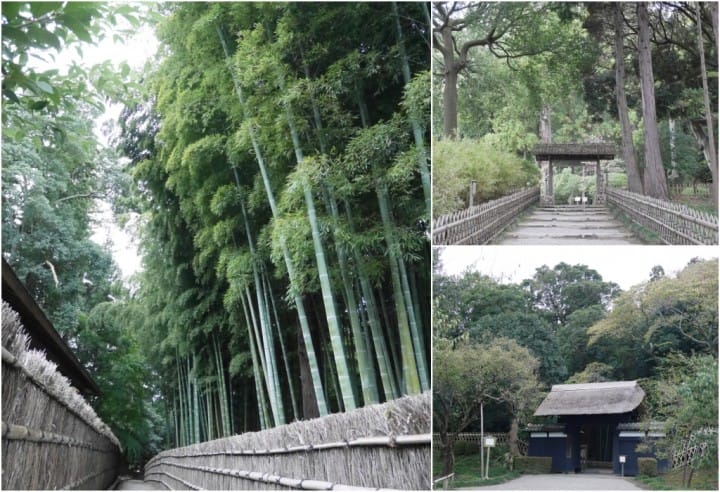 GT茨城縣