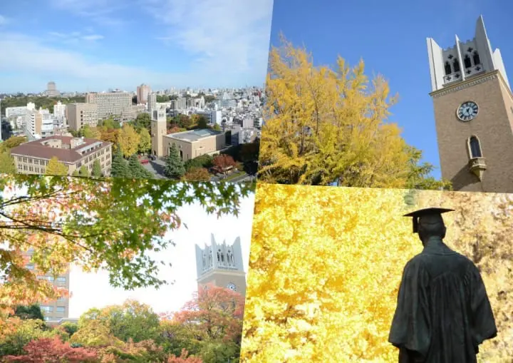 【東京】跟滿員電車說再見！利用都營巴士一日券遊玩山手線上景點