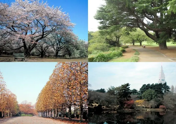 【東京】跟滿員電車說再見！利用都營巴士一日券遊玩山手線上景點