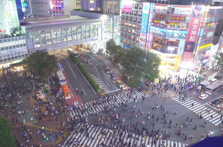 Only 500 Yen! A Day Exploring Tokyo's Most Popular Areas By Bus