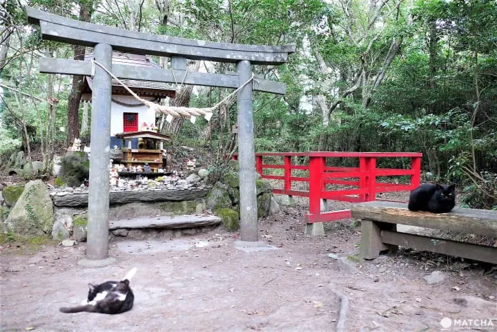 猫神社