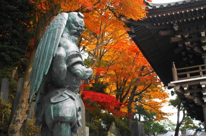 高尾山 賞楓 天狗